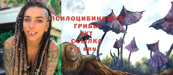 ГАЛЛЮЦИНОГЕННЫЕ ГРИБЫ Михайлов