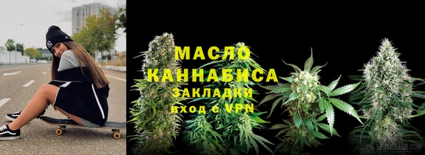дживик Надым