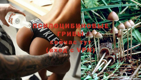 кокаин премиум Медвежьегорск