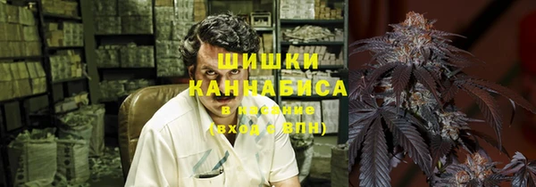 амф Михайловск