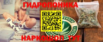 PSILOCYBIN Донской
