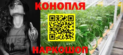 PSILOCYBIN Донской