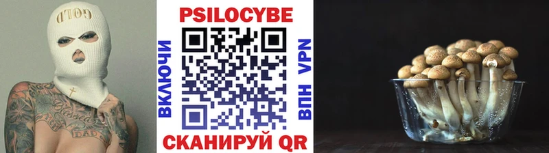 как найти закладки  Карталы  Галлюциногенные грибы MAGIC MUSHROOMS 