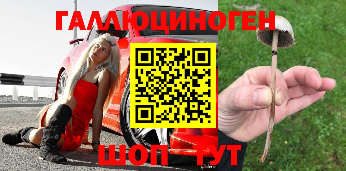 Карталы  Галлюциногенные грибы GOLDEN TEACHER  Вход с VPN 