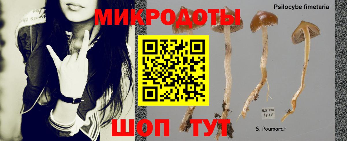 Псилоцибиновые грибы Cubensis Карталы